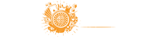 Playinexch Logo